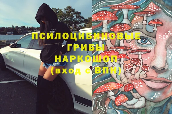 стафф Приозерск